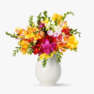 Buchet 21 frezii multicolore