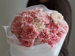 Pink Carnation Mix S Size