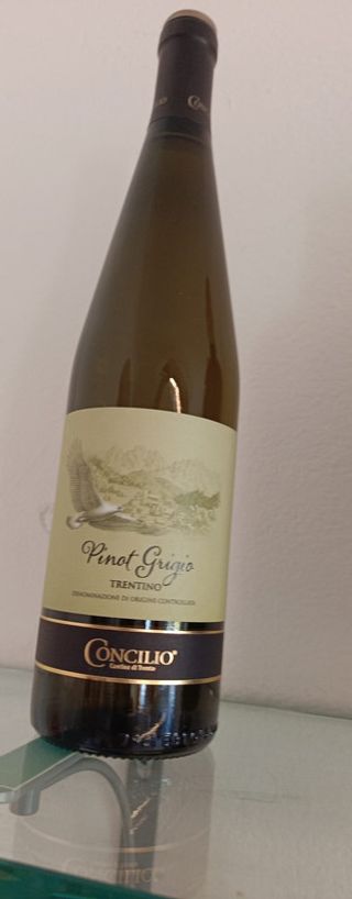 Pinot Grigio