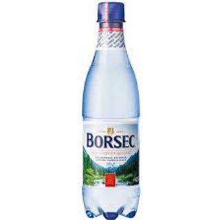 Apa Borsec