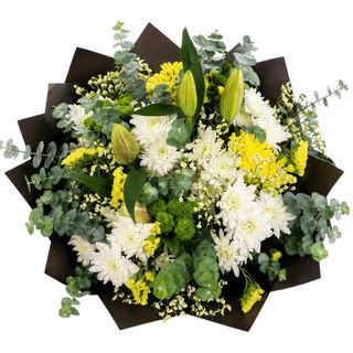 Golden Ray + White Elegance