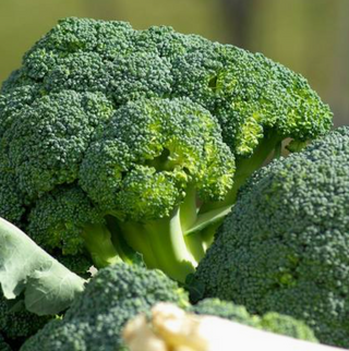 Brócolis