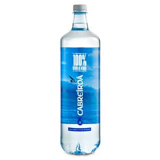 Agua (500 Ml.)