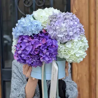 Hydrangeas Box – Ramo de Hortensias en Tonos Pastel
