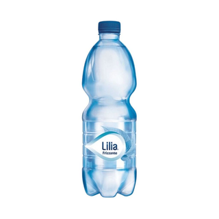 Acqua FRIZZANTE 50cl