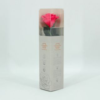 Rosa deshidratada en caja,varios colores