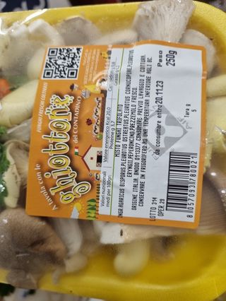 Funghi champignon misto vaschetta