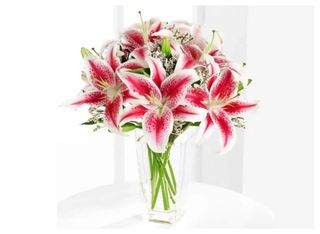 5 Лилиума, розови | 1 pieces