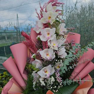 BUKET CYMBIDIUM ORHIDEJA