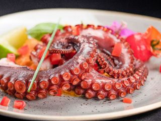 Hobotnica na žaru 250 gr