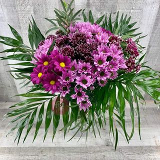 Pomo de Margaritas de Color