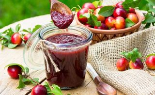 ტყემალი