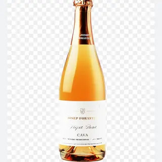 Josep Foraster Rosat Reserva