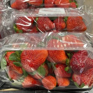 fresa tarrina (aprox. 500gr)