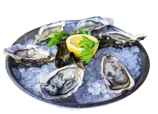 Fresh Oysters