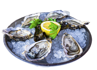 Fresh Oysters
