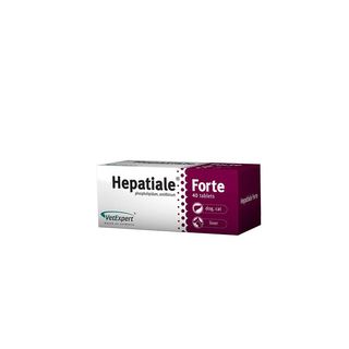 Supliment Nutritiv, Hepatiale Forte, 550mg, 40 tablete