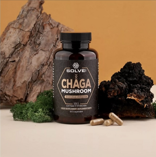 Solve Chaga (Błyskoporek Podkorowy) 10:1 Ekstrakt 60 kapsułek