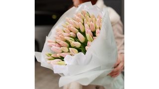 Bukiet 17 jasnoróżowych tulipanów