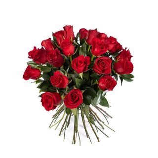 24 ROSAS COLOR ROJO