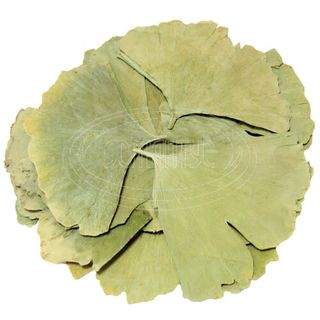 Листя Гінкго (30г)