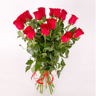 Róża czerwona (50cm 15szt)