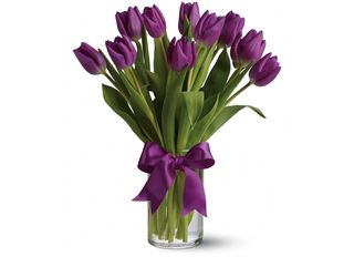 Лилави лалета 11 бр