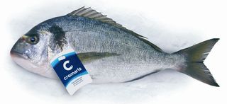 Orada cijela (200-300g)  64,99kn/kg