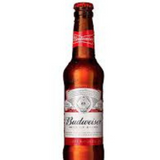 Budweiser 0,33 cl