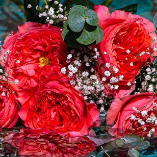 Ramo de 6 rosas peonias con verdes variados 