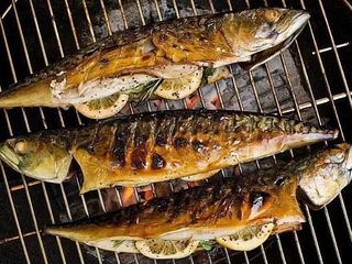 Скумбрія на вугіллі