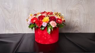 MIX CVEĆE U PLIŠANOJ KUTIJI