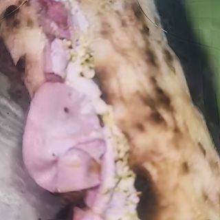 Mortadella e provolone