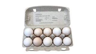 Eko jaja ze wsi Kluki  10 szt.