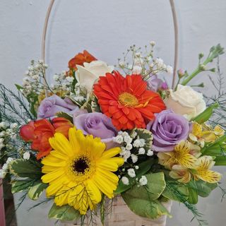 Aranjament  Cos colorat