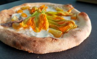 Fiori di zucca e provola