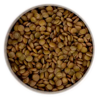 Lenticchie | 140 g