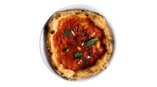 Baby Marinara