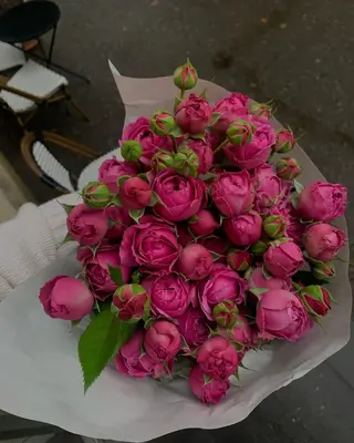 პიონისებური ვარდის კონა