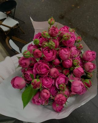 პიონისებური ვარდის კონა