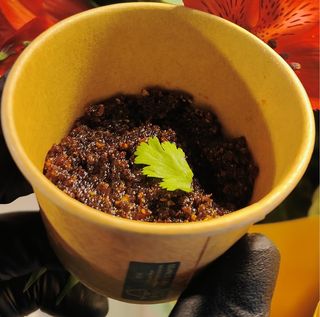 Sos chilli