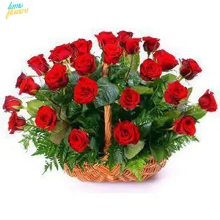 Special Love