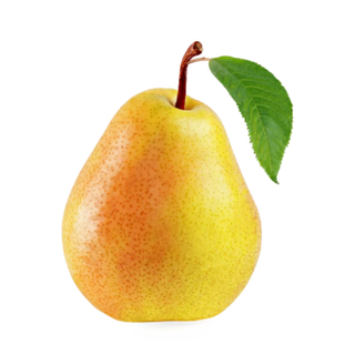 Pera Ercolina
