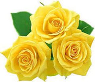 3 Rose gialle