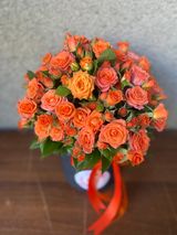 სტაფილოსფერი ჯუჯა ვარდები ყუთში, 