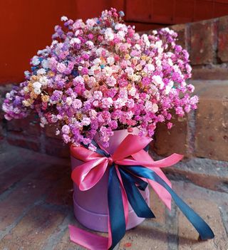 Box z gipsówki M  Rainbow Box