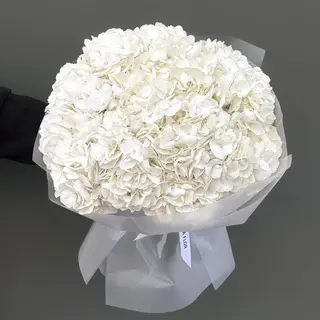 7 Hortensias Blancas