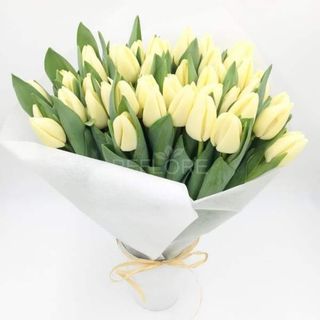 30 Tulipani Bianco Amore