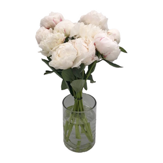 Ramo de Peonías blancas 10 uds