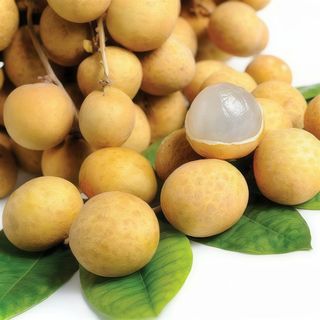 Longan